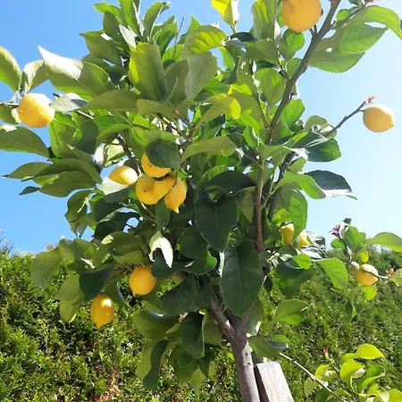 Lucashof Millstaettersee * Millstatt