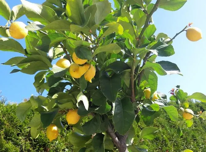 Lucashof Millstaettersee * Millstatt